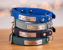 dog collar